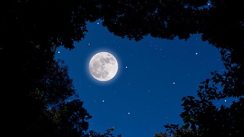 Diese 3 Sternzeichen bekommen ein Geschenk vom Supervollmond am 01.08.2023! - Foto: iStock/kyoshino