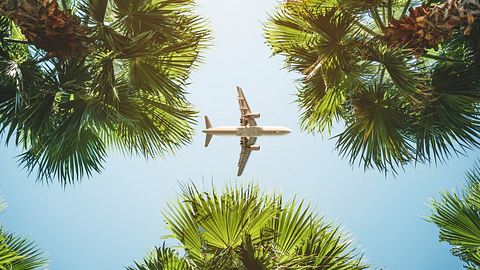 Flugzeug und Palmen - Foto: iStock/tarasov_vl