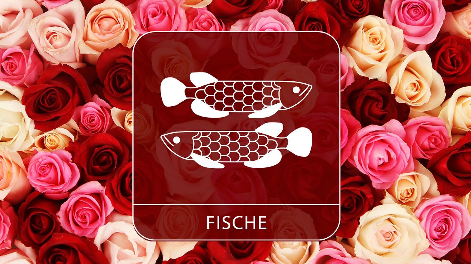 Das ValentinstagsHoroskop 2024 für das Sternzeichen Fische Astrowoche