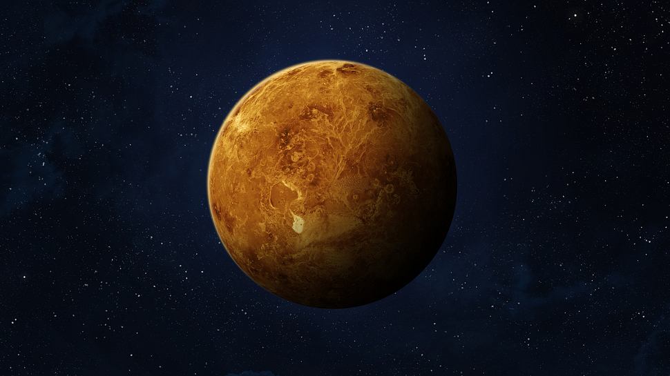 Venus im Löwen ab 11. Juli 2024 - Foto: buradaki/iStock