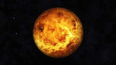 Venus im Wassermann ab 16.02.2024 - Foto: 3quarks/iStock