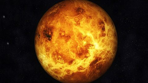 Diese Venus enthüllt: So viel Liebe brauchen Sie