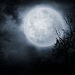 Vollmond am Nachthimmel - Foto: VladGans/iStock