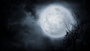Vollmond am Nachthimmel - Foto: VladGans/iStock