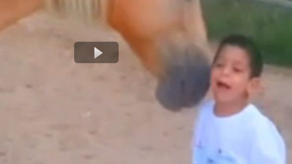 Einfach rührend: Pferd kommuniziert mit krankem Jungen