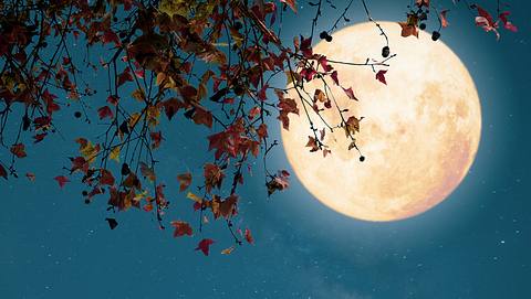 Vollmond im Stier 28. Oktober 2023 - Foto: jakkapan21/iStock