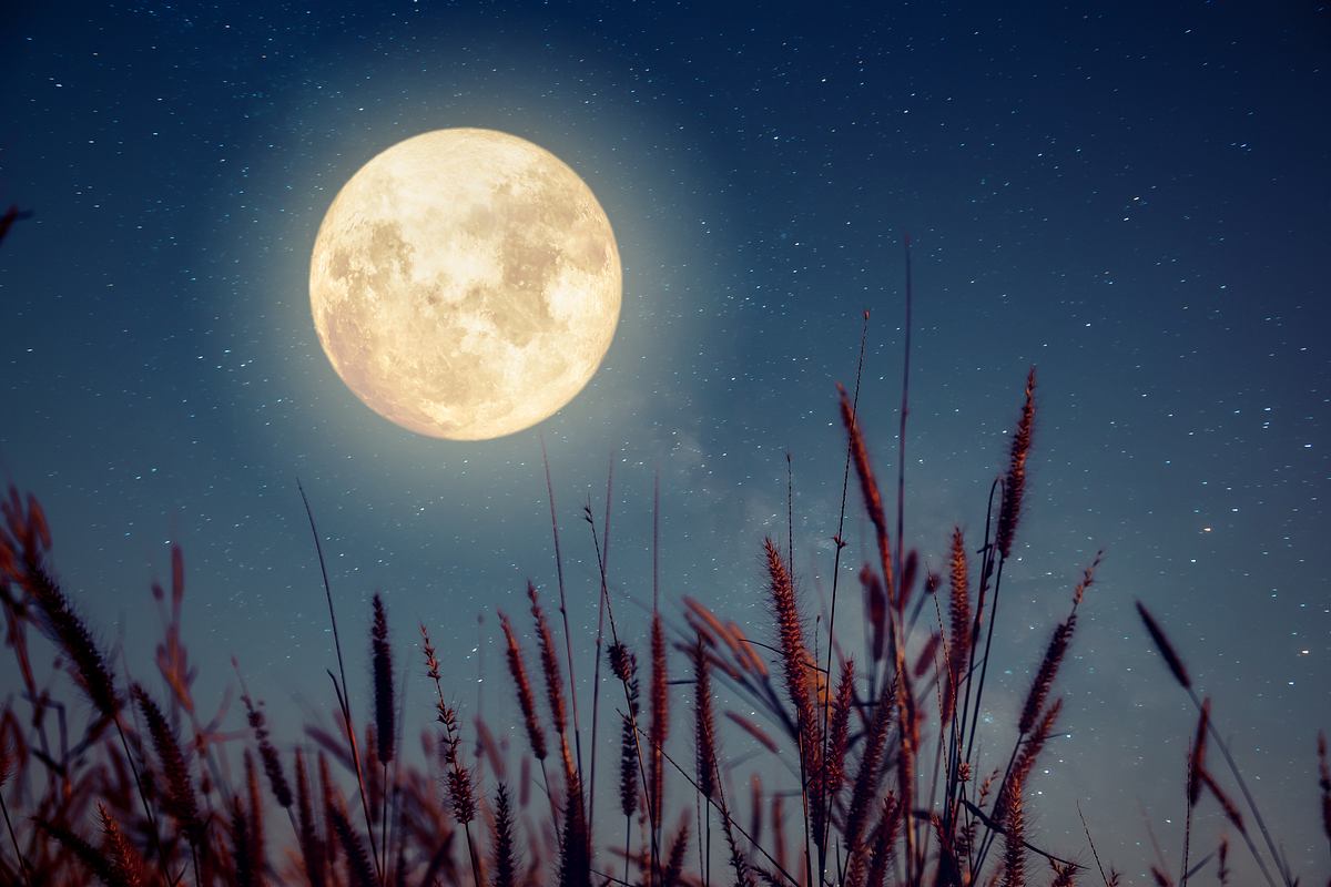 Der leuchtende Vollmond über einem Feld