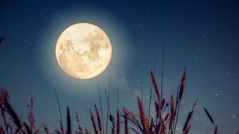 Der leuchtende Vollmond über einem Feld - Foto: jakkapan21/iStock