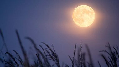 Vollmond im August 2021: Der Blue Moon im Wassermann - Foto: jimkruger/iStock