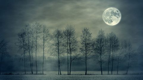 Vollmond über Bäumen im Winter - Foto: iStock/Marcin_Moga