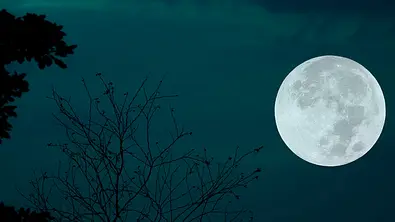Das große Vollmond-Horoskop für Januar 2022 - Foto: Onkamon Buasorn/iStock