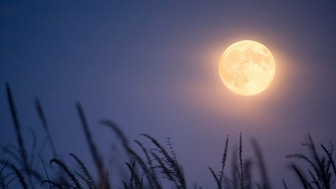 Drei Sternzeichen bringt der Vollmond im April 2022 Probleme - Foto: imkruger / iStock