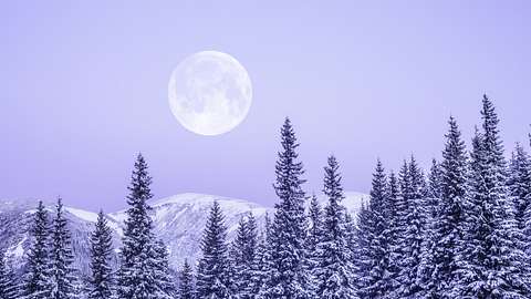 Vollmond im Januar 2024: So sehr stärkt uns der Schneemond im Löwen - Foto: Misha Kaminsky / iStock