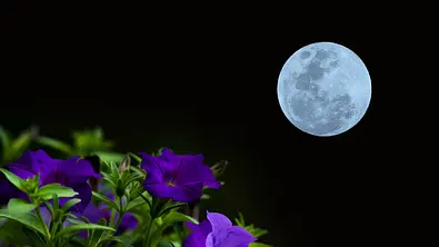 Der Vollmond im Mai 2022 bereitet 3 Sternzeichen eine glückliche Zeit - Foto: Onkamon Buasorn / iStock