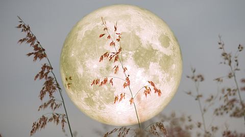 Der Vollmond am Abendhimmel - Foto: Chayanan/iStock