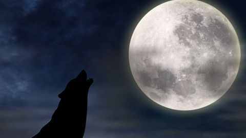 Vollmond im Januar 2021: Tatendrang des Eismondes - Foto: iStock/CreativaImages