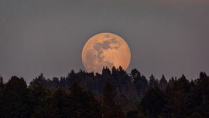 Vollmond im Juli 2023 - Foto: ackyard-Photography/iStock