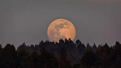 Vollmond im Juli 2023 - Foto: ackyard-Photography/iStock