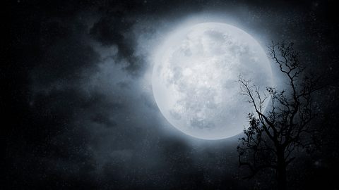 Vollmond am Nachthimmel - Foto: VladGans/iStock