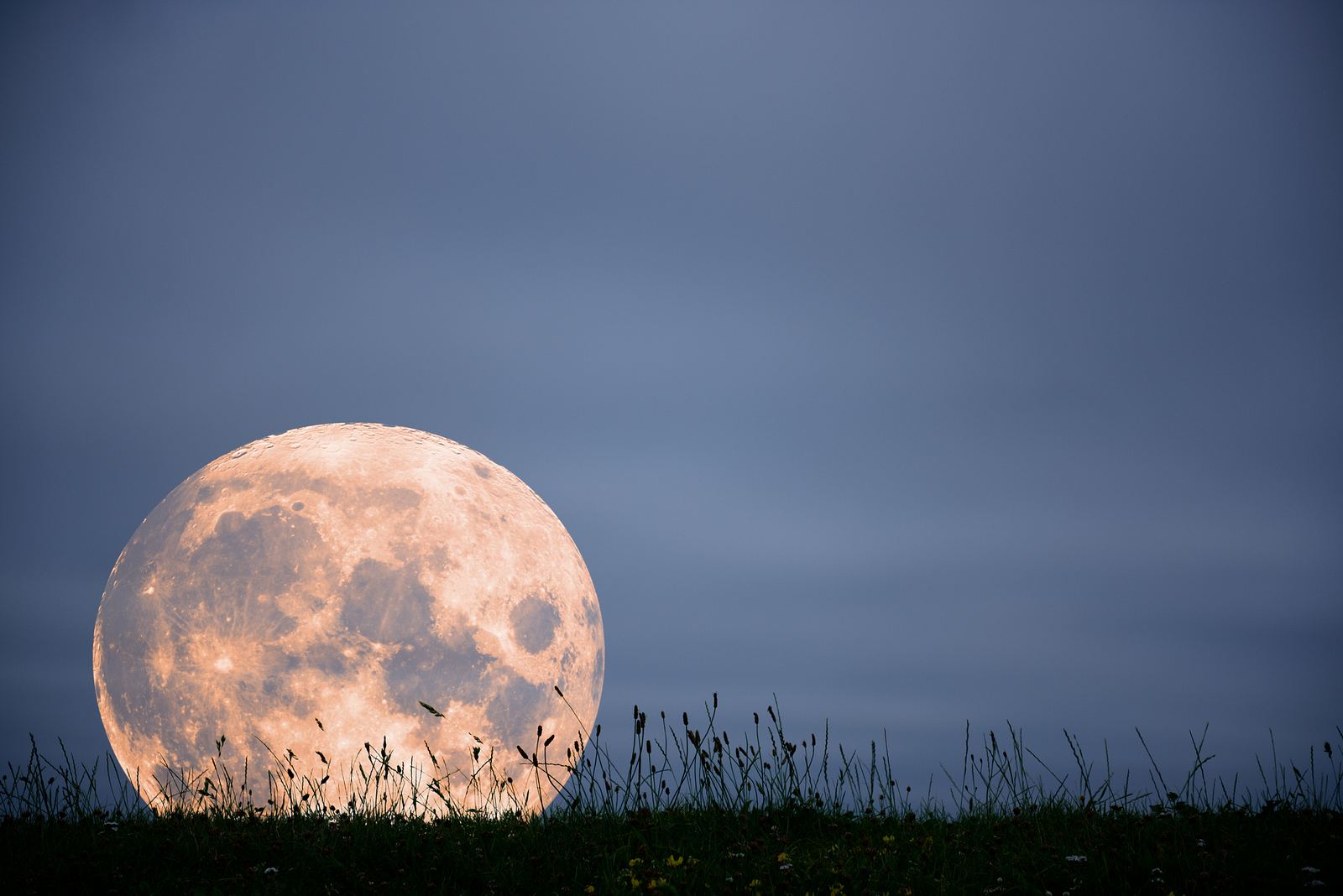 Vollmond im november 2020 der letzte vollmond vor weihnachten astrowoche