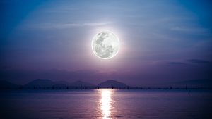 Vollmond über dem Meer - Foto: iStock / kdshutterman