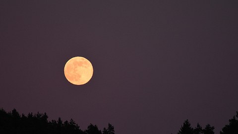 Maismond September 2022 - Foto: GRECLAURENTIU/iStock