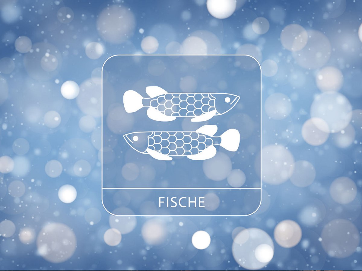 Sternzeichen Fische vor winterlichem Hintergrund