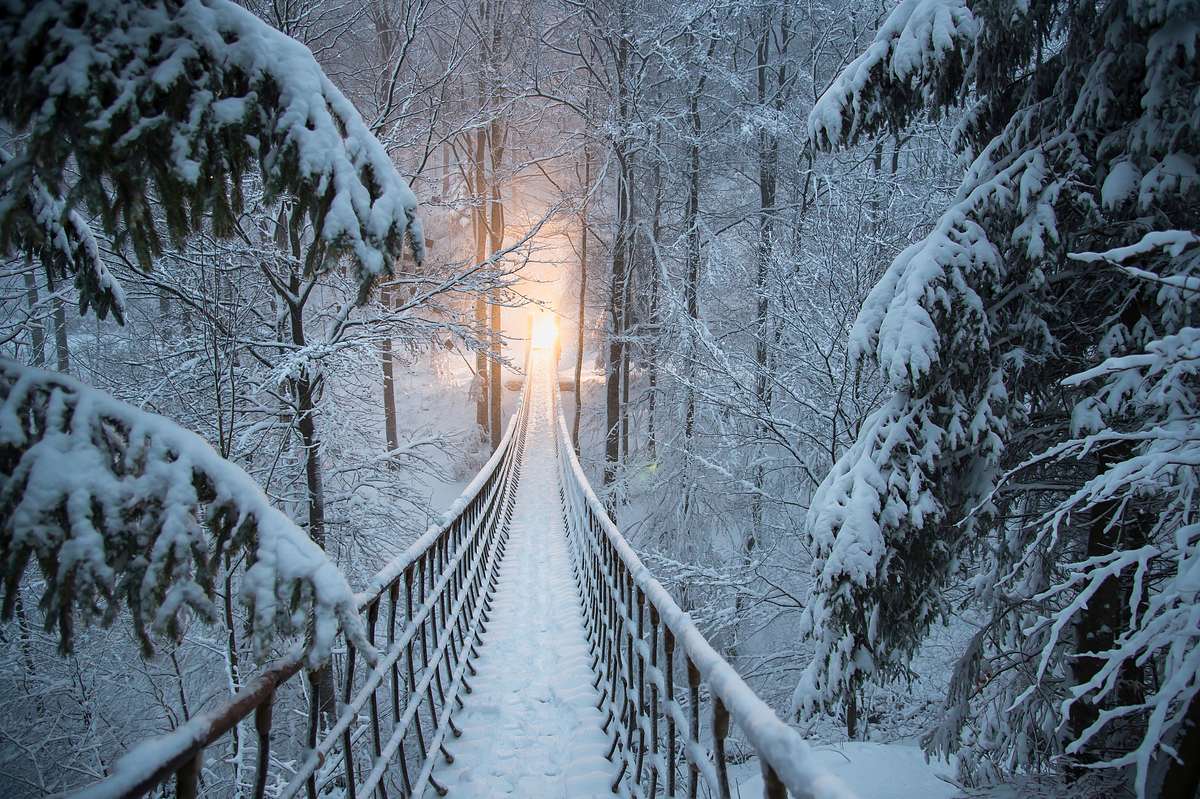 Hängebrücke im verschneiten Winterwald