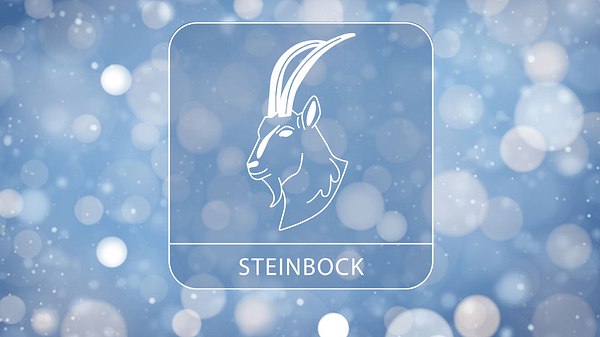 Sternzeichen Steinbock vor winterlichem Hintergrund - Foto: Collage mit Amore al Arte / iStock & Astrowoche.de